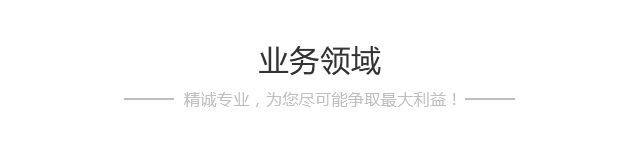 业务领域